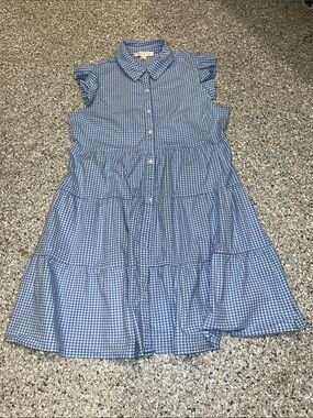 Monteau Blue and White Gingham Button-Up Dress